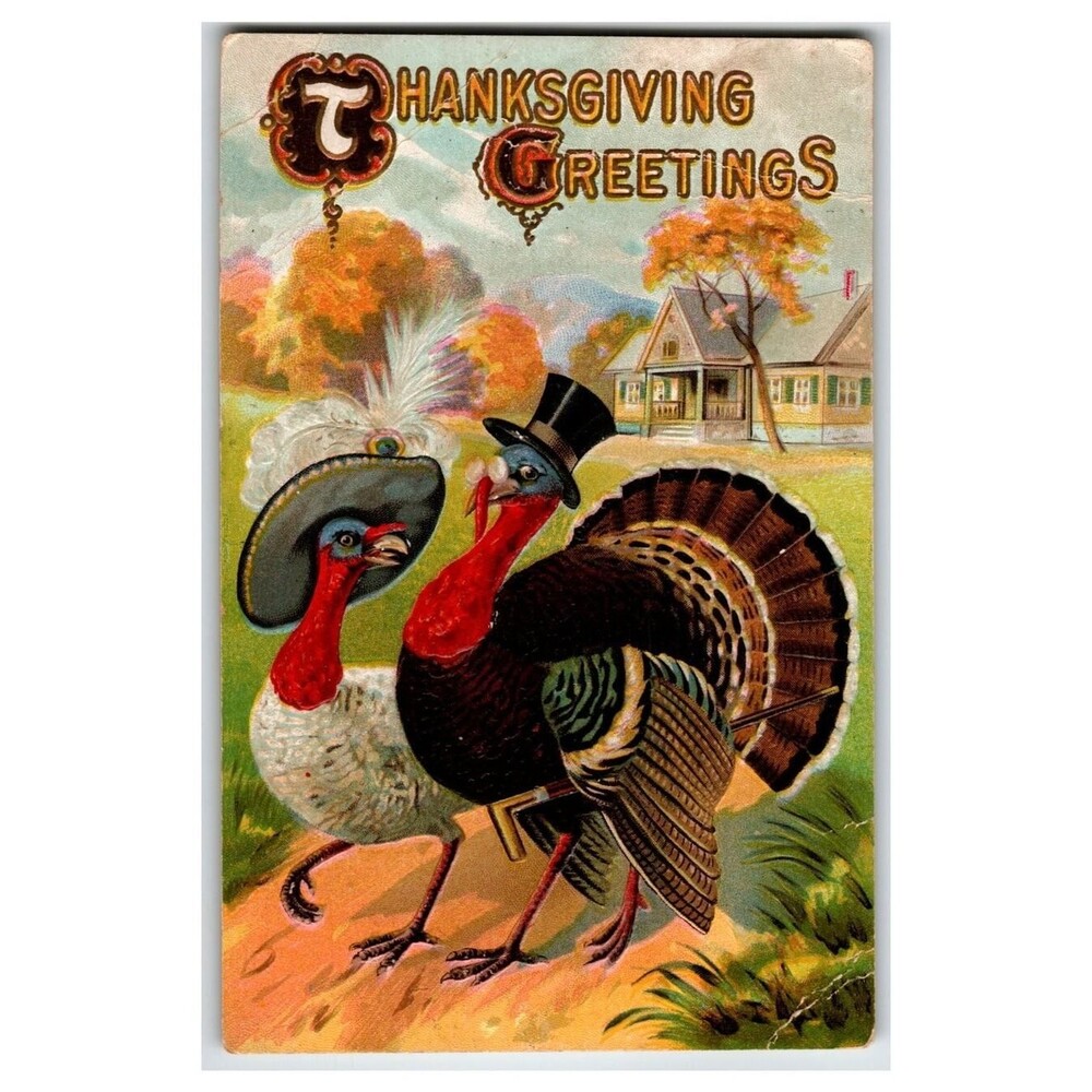 Vintage Thanksgiving Turkeys Dressed in Hats Postcard 1911 St. Johnsville NY